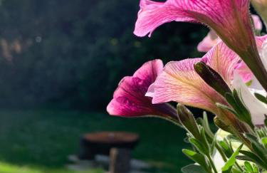 Crafter's Retreat luxury cabin on the Norfolk Cambridgeshire border - Foto 37