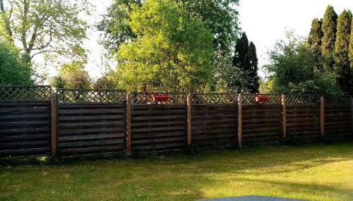 Ferienwohnungen Evers 55181 - Foto 4, Garden, Garden view