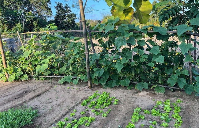 Cat Tien Villa Hoi An - Foto 53