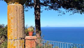 Bouganville in Villa Greco - Photo 5