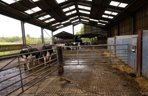 Shepherds Huts Tansy & Ethel in rural Sussex - Foto 30