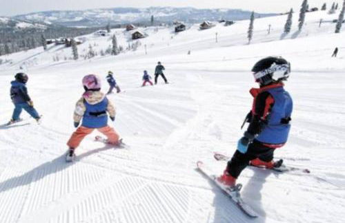 Modern Gambrel Cabin Near Ski Resorts - Photo 29