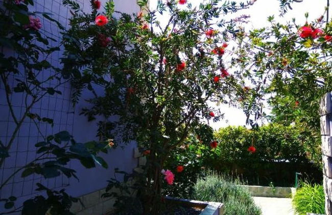 ApartHotel Viola - Foto 21