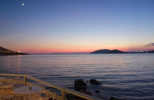 New Olivka House - Foto 24