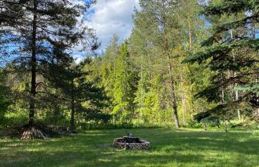 Między Sosnami - Foto 40