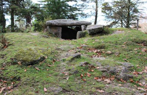 Casa Rautau - Foto 27