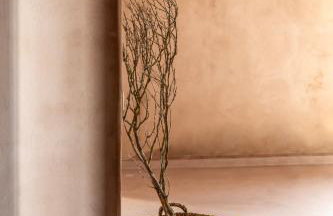 Terracotta Fiscardo Villas - Foto 62