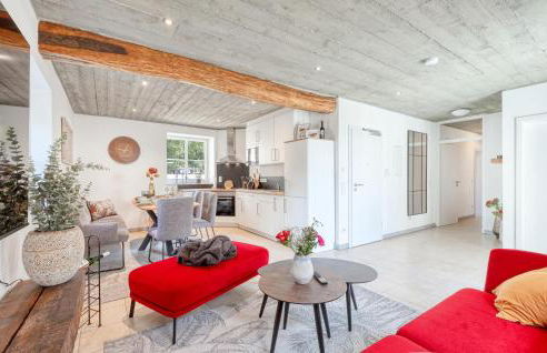 Admiral Vanessa - Foto 2