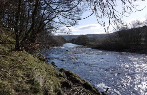 Corner House - Photo 22