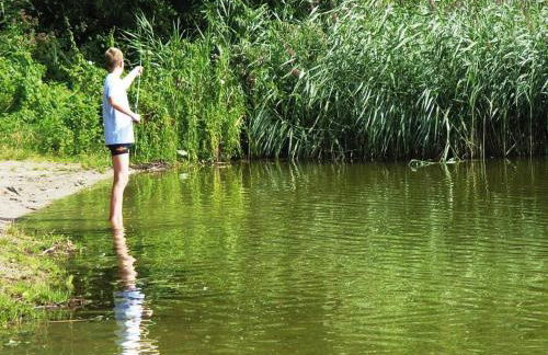 Ferienhaus am Dummer See, Perlin - Foto 24