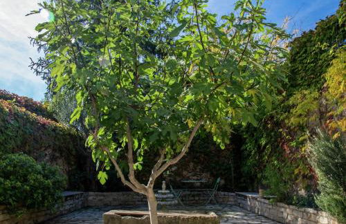 Old wine storehouse with terrace and garden - Foto 34