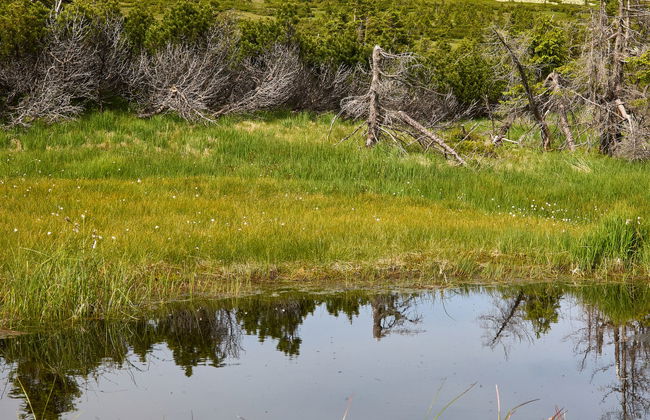 Horní Mísečky - Foto 55