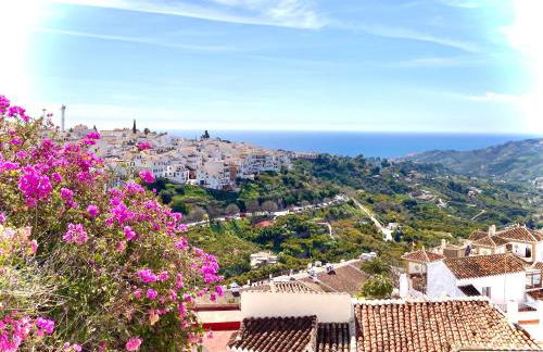 Buenos Sueños- Balcon de Frigiliana - Photo 31