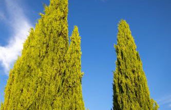 Le Mas Sérénité - Foto 7