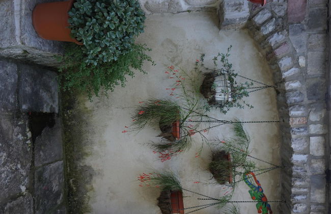 Guesthouse Dragutinovic - Foto 9