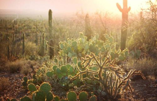 Historic 1900 Adobe Downtown Barrio Retreat - Foto 27