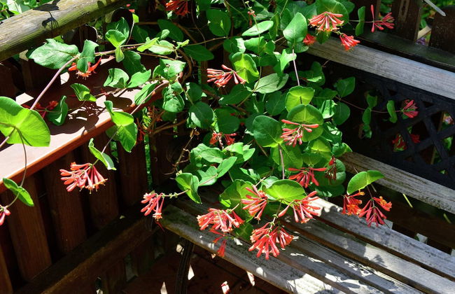 Apartment in the Hochsauer Region Quiet Location - Photo 23