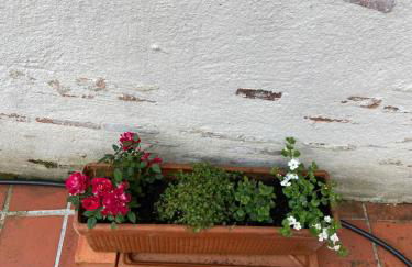 la Porte aux Dames - Foto 43