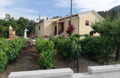 Quinta da Gandarela - Foto 3