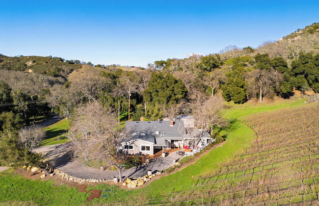 Luxury Wine Country Haven + Vineyard Views Near Top Wineries Adelaida Farmhouse - Foto 40