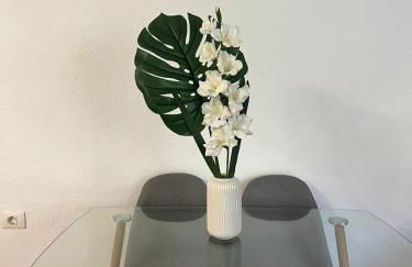 Casa Tortuga 1era linea de playa - Photo 6