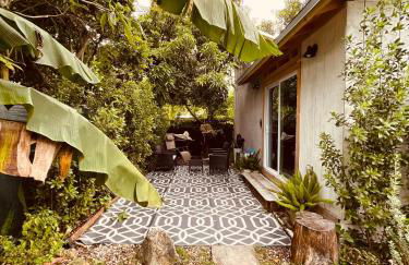 Bienvenidos a la Pequeña Selva de Legnalife - Foto 1