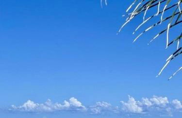 Villa Tocco vicino al mare - Foto 19