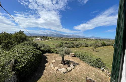 Finca aigua- sa tanca de can vicens - Foto 15