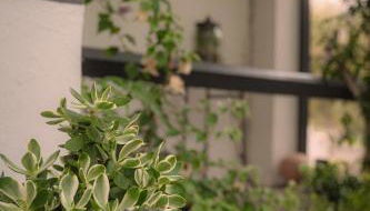 La Casa Néo - Foto 3