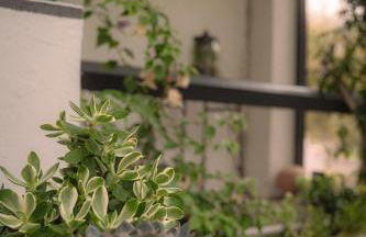 La Casa Néo - Foto 3