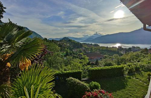 Feluca Porto - Photo 1