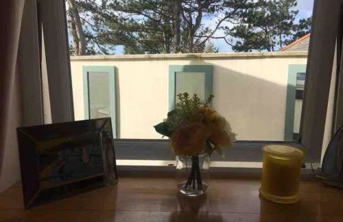 Tre Mynach Barmouth - Foto 44