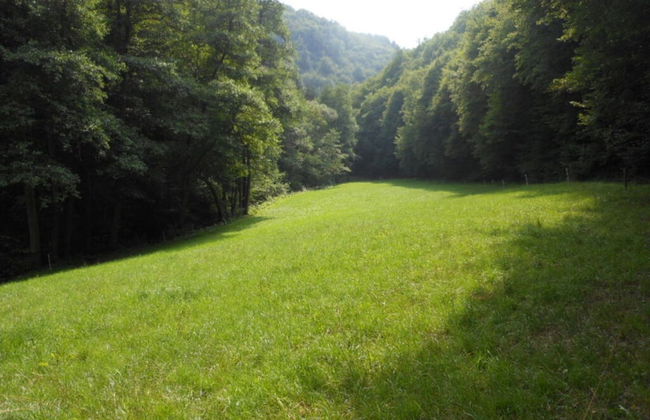 Holiday Home Weins Comfortable Vacation Home - Foto 13