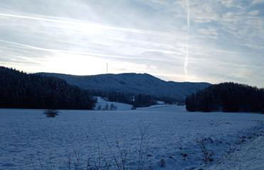 Ferienhaus zum Moosbauer - Foto 4