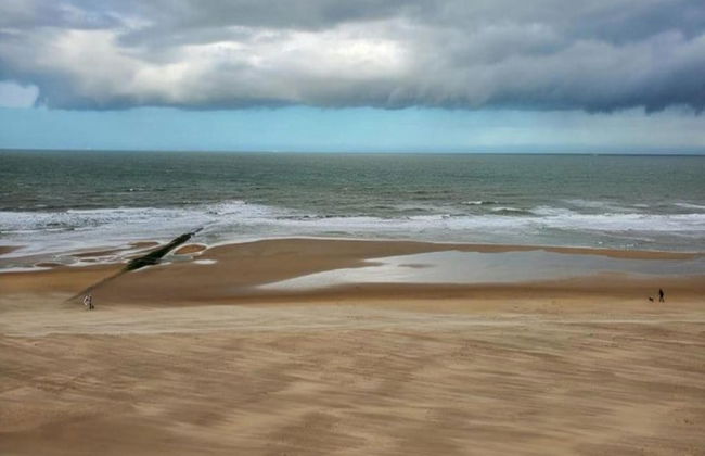 Apartment in Ostend Near North Sea - Foto 23