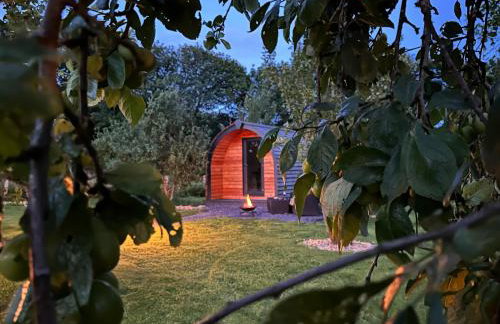 Tyddyn Parthle Pod 1 - Foto 12