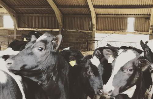 Stunning farm retreat - Photo 10