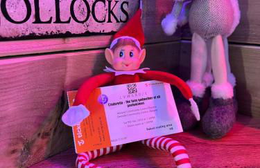 Royal Snug & Wee Snug Cabins - Foto 19