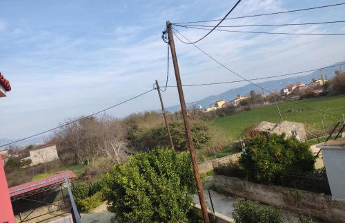 DIMITRIS EYRIAKIS COTTAGE - Photo 47