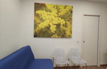 La Casa de la Mimosa - Foto 5