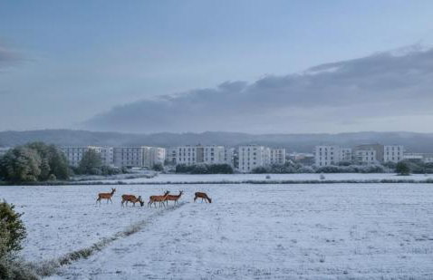 Leśna Przystań Rumia - obok Gdyni i Aquaparku Reda - Foto 35