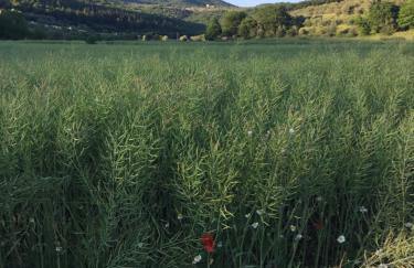 Accanto a Firenze - Foto 36