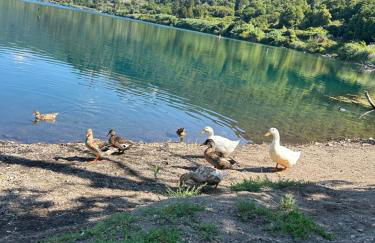 Casetta incantevole Genzano di Roma - Foto 3