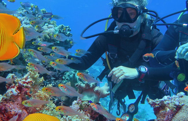 Immersione per principianti a Fuencaliente - Foto 1