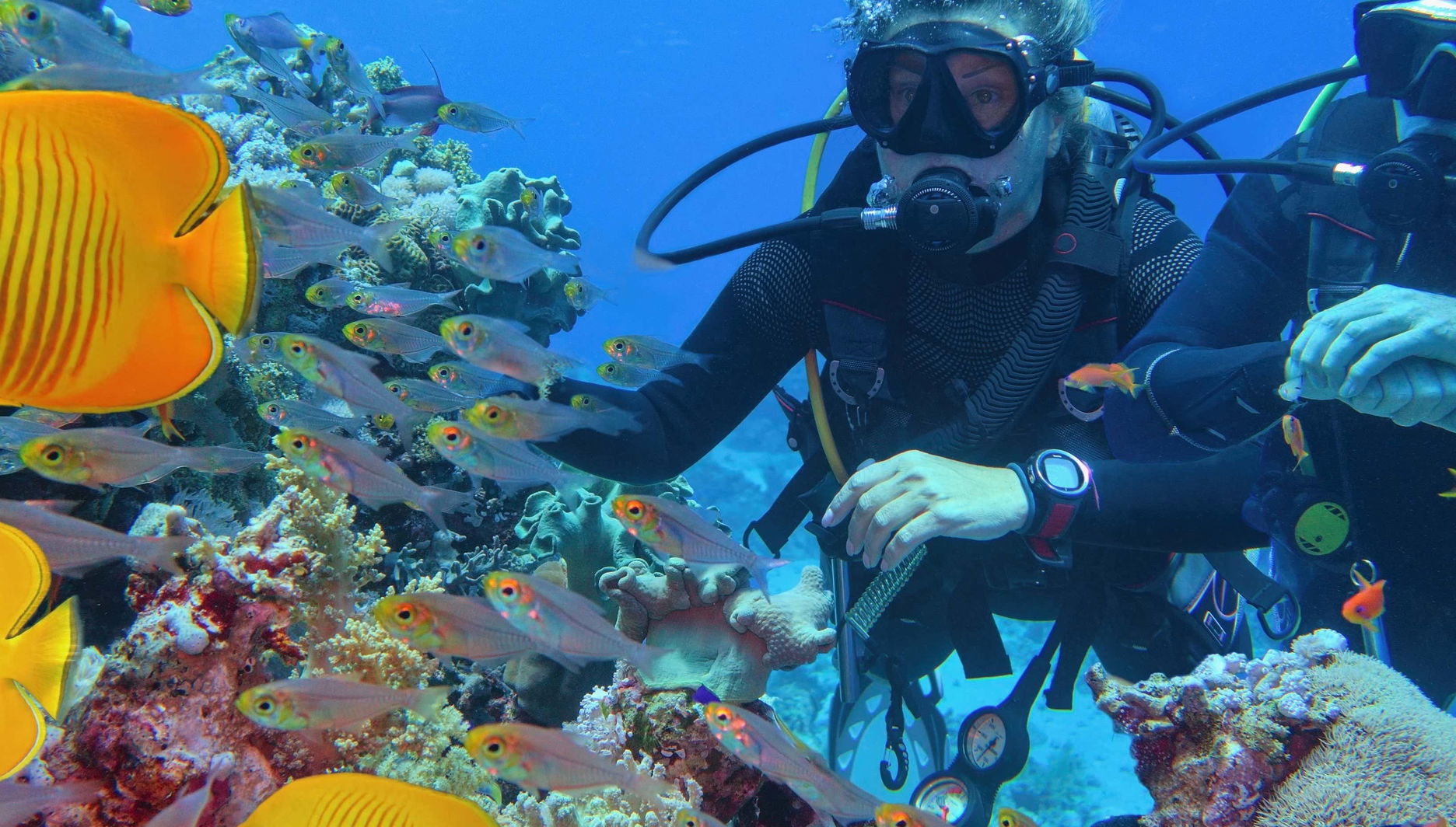 Bautismo de buceo en Fuencaliente