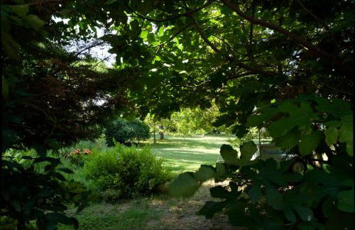 Provence-cool - Piscine privée - Vous êtes les seuls vacanciers présents - Foto 16