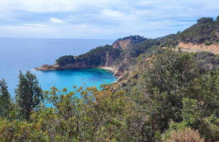 Espiga, Cala privada Tossa de Mar - Foto 36