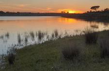 Casa do Roxo - Eco Design Country House - Foto 57