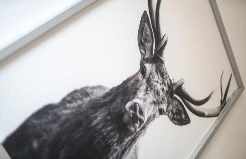 CASSEL LOFTS - Komfortable Wohnung für 4 - nahe SMA & Fulda - Foto 13