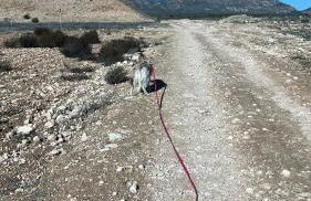 Casa El Rulón - Foto 21